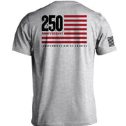 America 250 Years Anniversary Flag