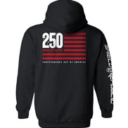America 250 Years Anniversary Flag