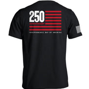 America 250 Years Anniversary Flag