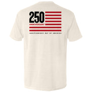 America 250 Years Anniversary Flag