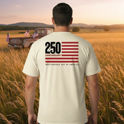 America 250 Years Anniversary Flag