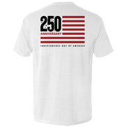 America 250 Years Anniversary Flag