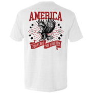 America 250 Years of Freedom